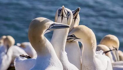 西甲综合：巴萨大胜西班牙人 9分优势领跑